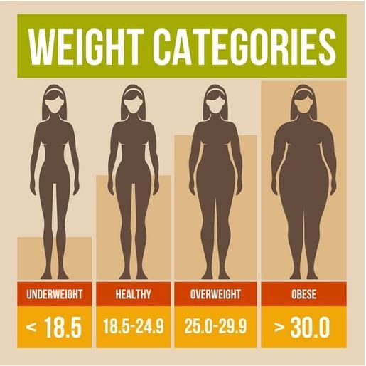BMI Weight Chart for Seniors Female Women Updated 2023 ...