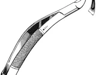 Sklar Dental Extracting Forceps #62 EACH