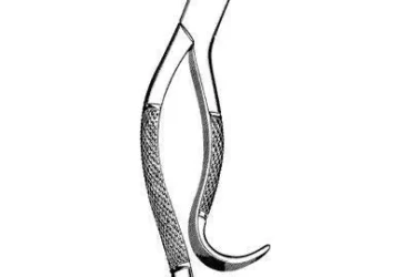 Sklar Extracting Forceps #16 EACH