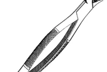 Sklar Extracting Forceps #17 EACH