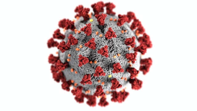 Coronavirus responsible for COVID-19 pandemic