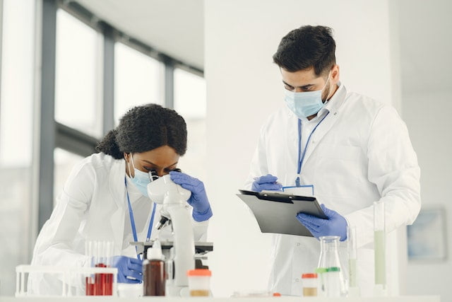 Scientists working in the research and development