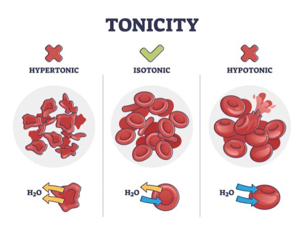 Effect of hypotonic, hypertonic, and isotonic solutions on our red blood cells