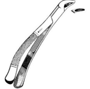 Sklar Dental Extracting Forceps #151 EACH