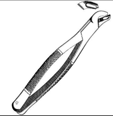 Sklar Extracting Forceps #17 EACH