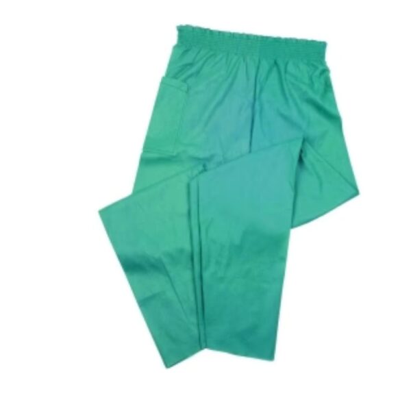 018940 PANTS SCRUB DISP ELSTC WST LG