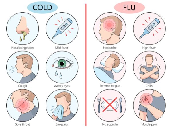 A comparison of the symptoms of the common cold with the flu