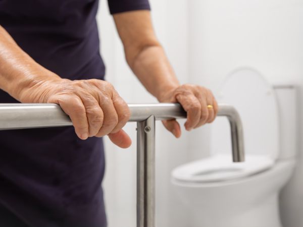 A good quality grab bar is an excellent support for the elderly