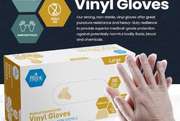 Vinyl Exam Gloves In A Bag, Large, Powder-Free, Clear, 500/2pr/cs